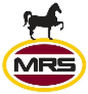 Logo MRS